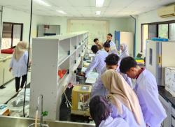 Biochar hingga Biodiesel, Inovasi Sawit Karya Politeknik Kampar Mejeng di SIEXPO 2026