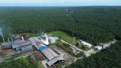 Laba Agrinas Rp27,9 Miliar Dipertanyakan, Petani Sawit Riau Minta KPK Audit Investigatif
