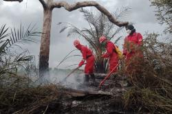 Karhutla Meluas di Pekanbaru, Hanguskan Lebih dari 38 Hektare Lahan