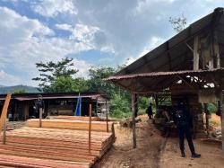 Polda Riau Grebek Illegal Logging di Kampar, 780 Batang Kayu Olahan Disita
