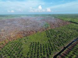 Karhutla Bengkalis Mulai Terkendali, Manggala Agni Fokus Tuntaskan Bara Gambut