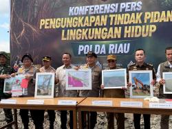 Perambahan Hutan 118 Hektare di Rohil Terbongkar, Dua Orang Jadi Tersangka