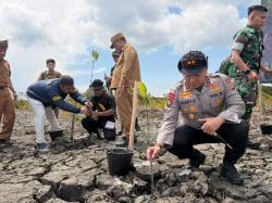 Usai Tangkap Perambah, Polda Riau Bergerak Pulihkan Hutan Mangrove di Rohil