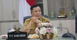 Karhutla Mereda, Plt Gubri Peringatkan Jangan Ada Lagi Aktivitas di Lahan Bekas Terbakar