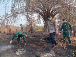 Polda Riau dan TNI Turun Langsung Tangani Karhutla, 4 Kabupaten Jadi Perhatian