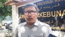 Pertanyakan Legalitas Kawasan Hutan, Korban Penertiban Satgas PKH Siapkan Gugatan Massal